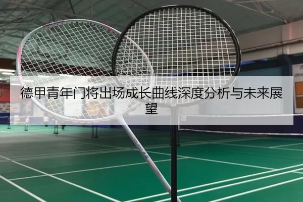 德甲青年门将出场成长曲线深度分析与未来展望