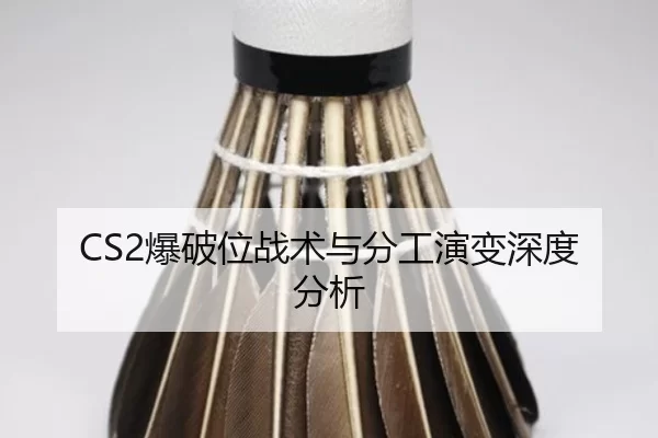 CS2爆破位战术与分工演变深度分析